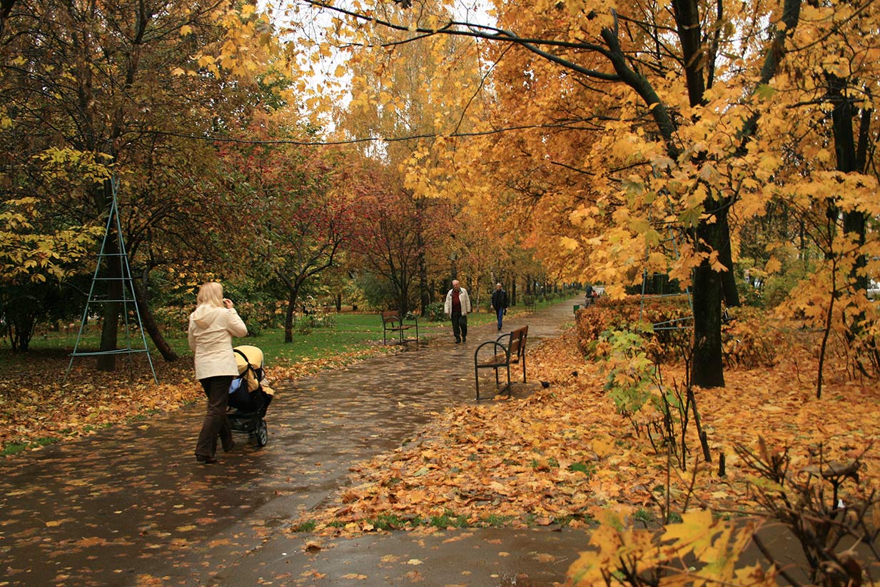 Шли по аллее парка. Осенью в парке. Осенний парк с людьми. Прогулка в парке осенью. Осень в парке.